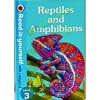 l3_riy_reptiles