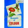 moments_of_colours
